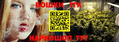 прущие грибы Обь