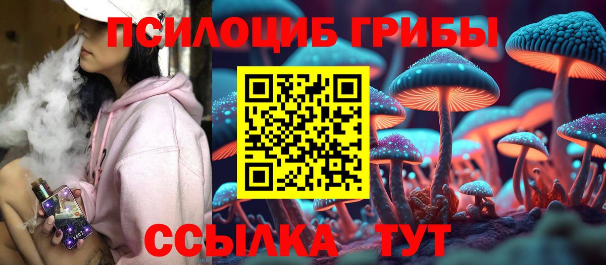 Псилоцибиновые грибы мицелий  Вход с VPN  Сегежа  Галлюциногенные грибы прущие грибы 
